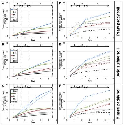 Discerning Microbially Mediated Processes During Redox Transitions in Flooded Soils Using Carbon and Energy Balances